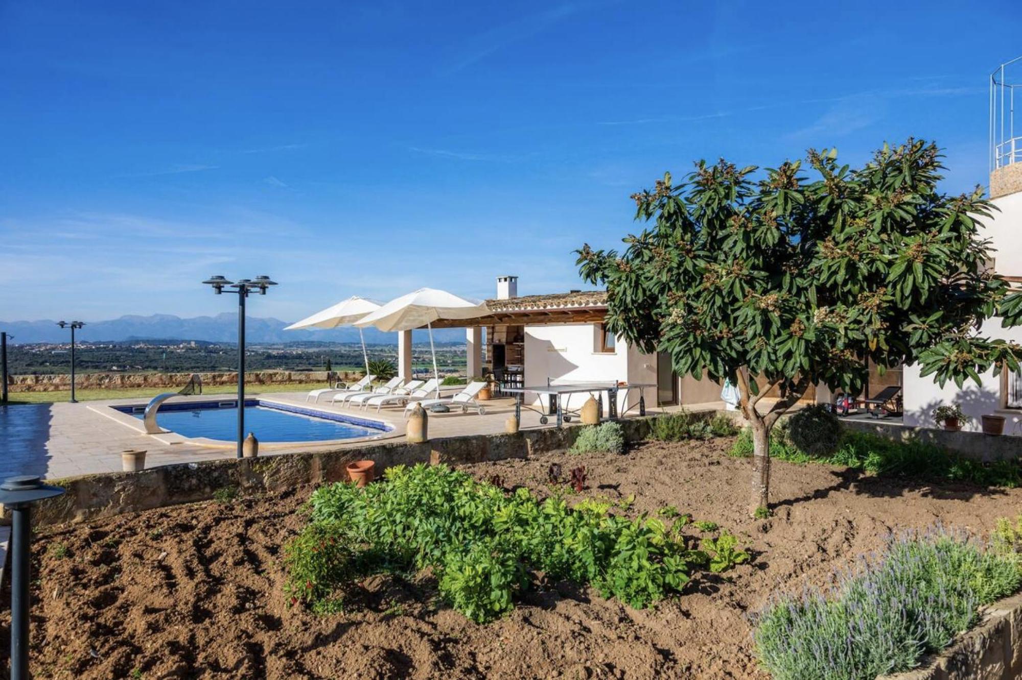 Apartamento Sa Figuereta Living Place *